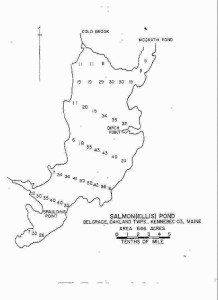 Salmon Lake Depths